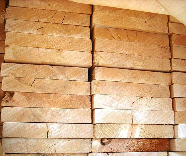 连城智利辐射松方木